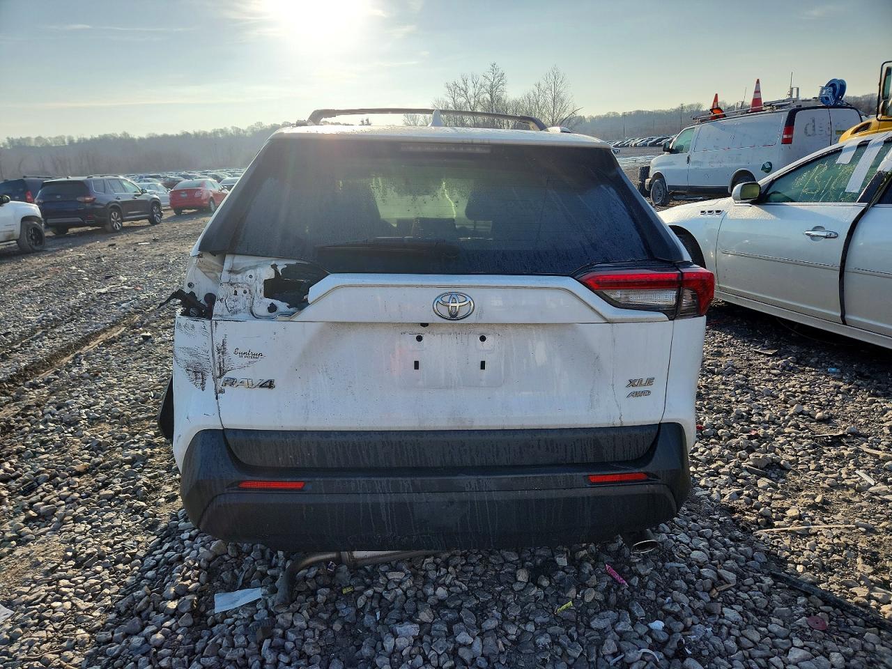 2019 TOYOTA RAV4 XLE photo 6