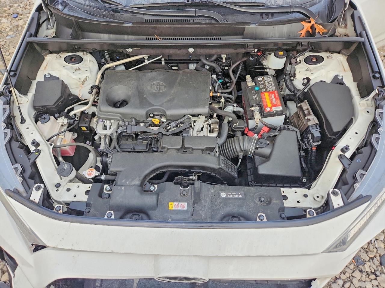 2019 TOYOTA RAV4 XLE photo 12