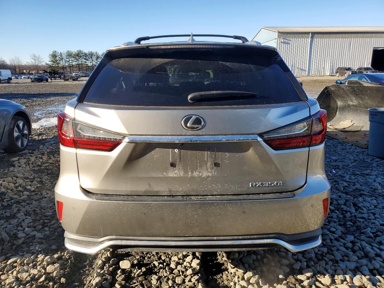 2019 LEXUS RX 350 L photo 6