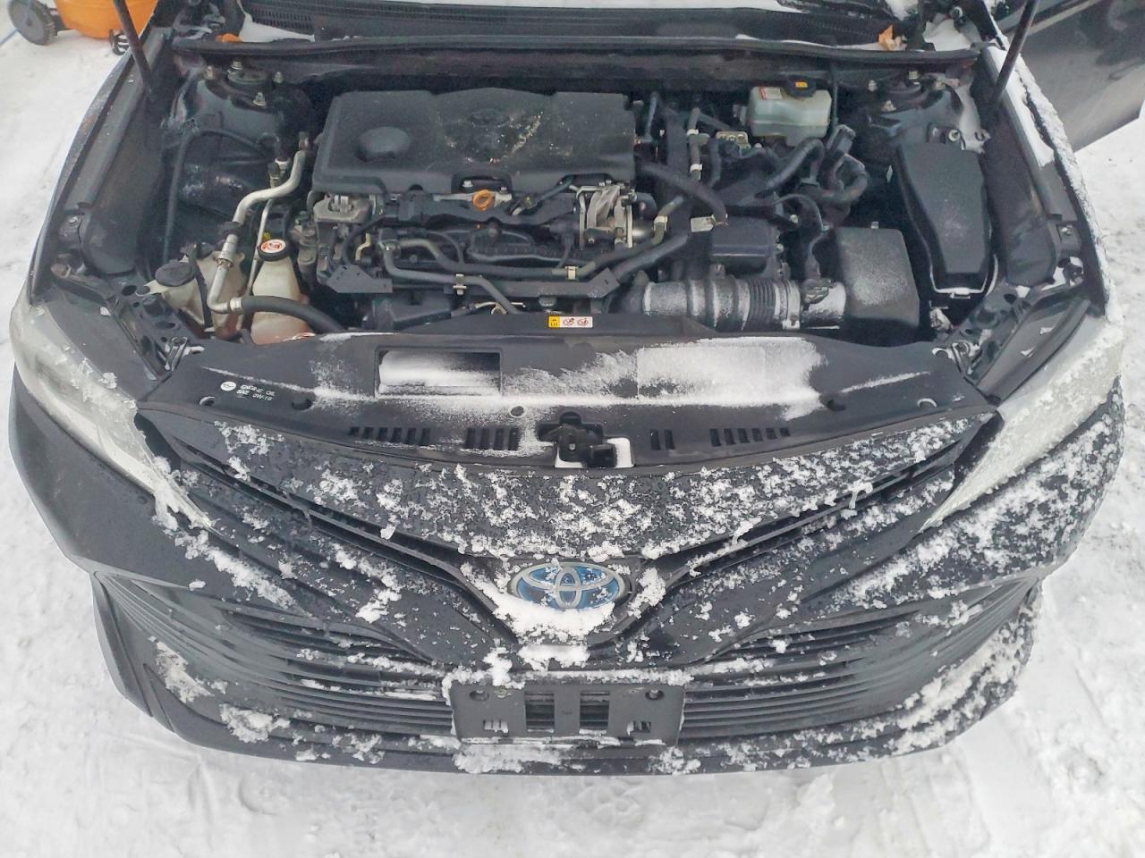 2020 TOYOTA CAMRY LE photo 11