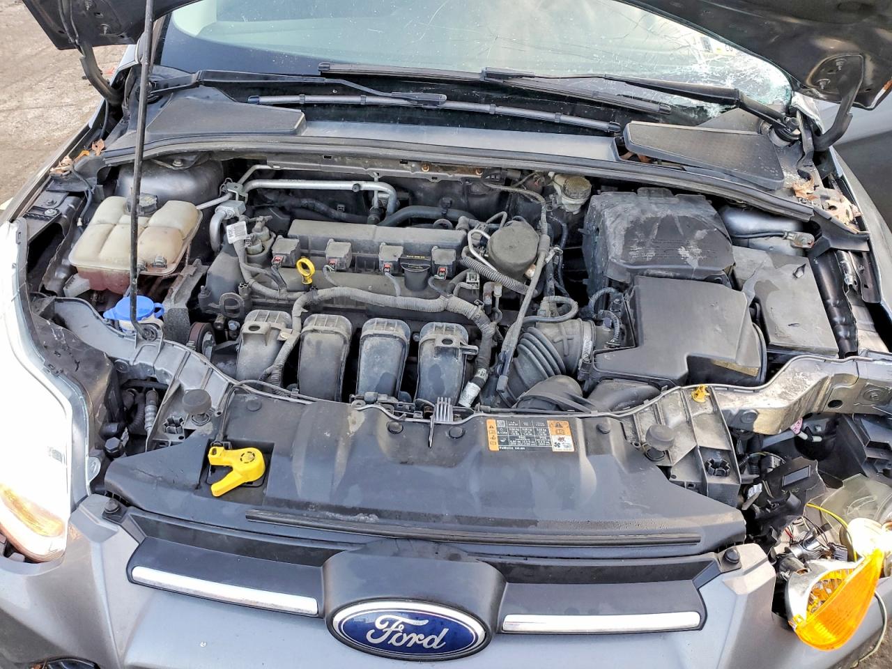 2014 FORD FOCUS SE photo 11