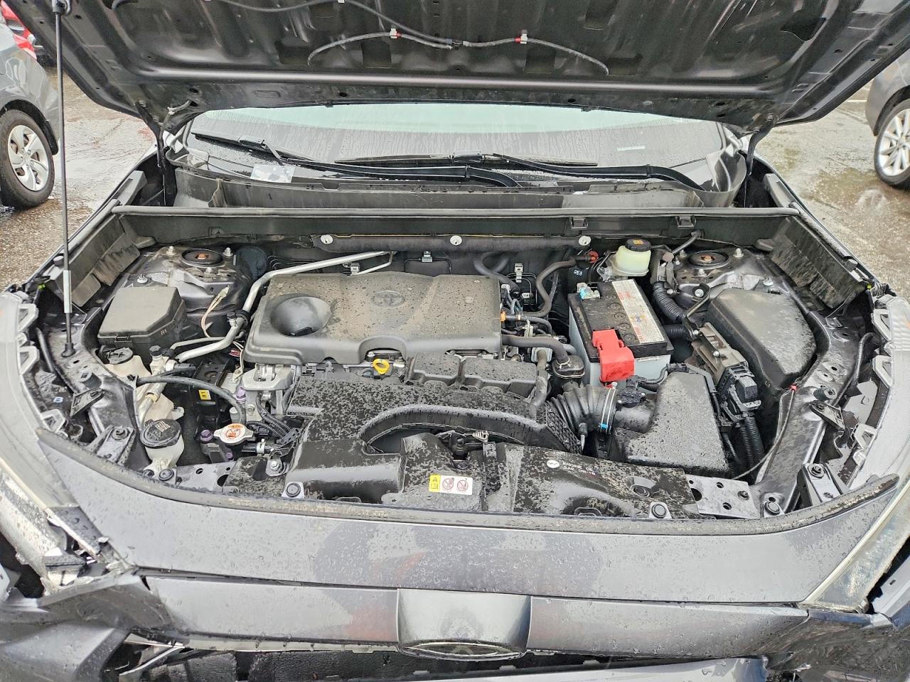 2019 TOYOTA RAV4 XLE photo 11