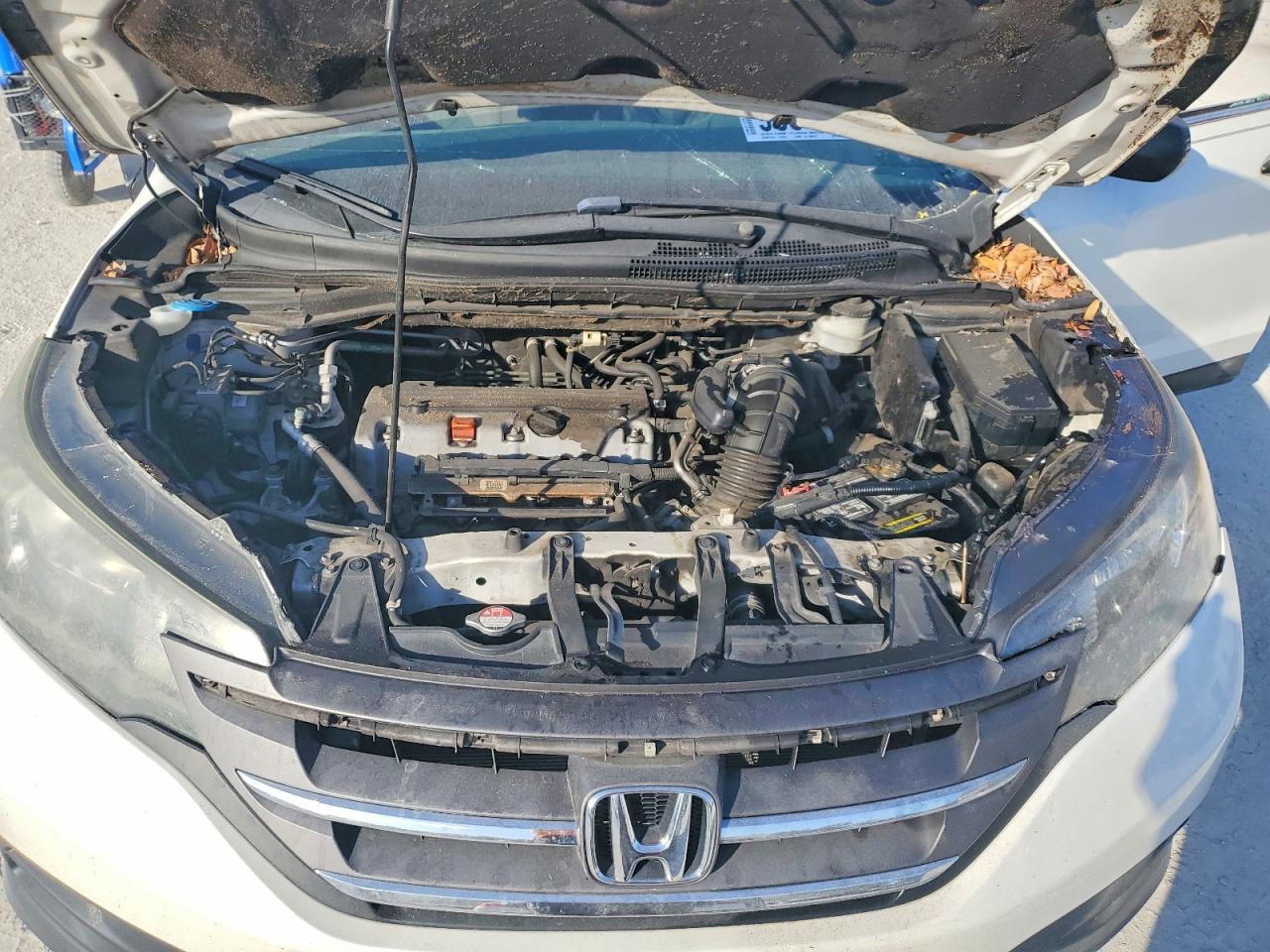 2014 HONDA CR-V LX photo 12