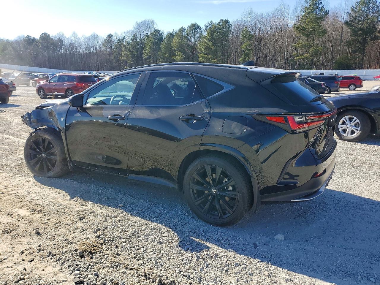 2024 LEXUS NX 350 LUXURY photo 3