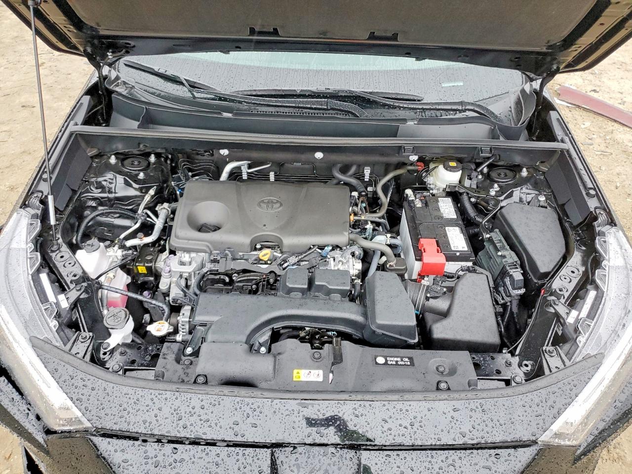 2025 TOYOTA RAV4 LE photo 12