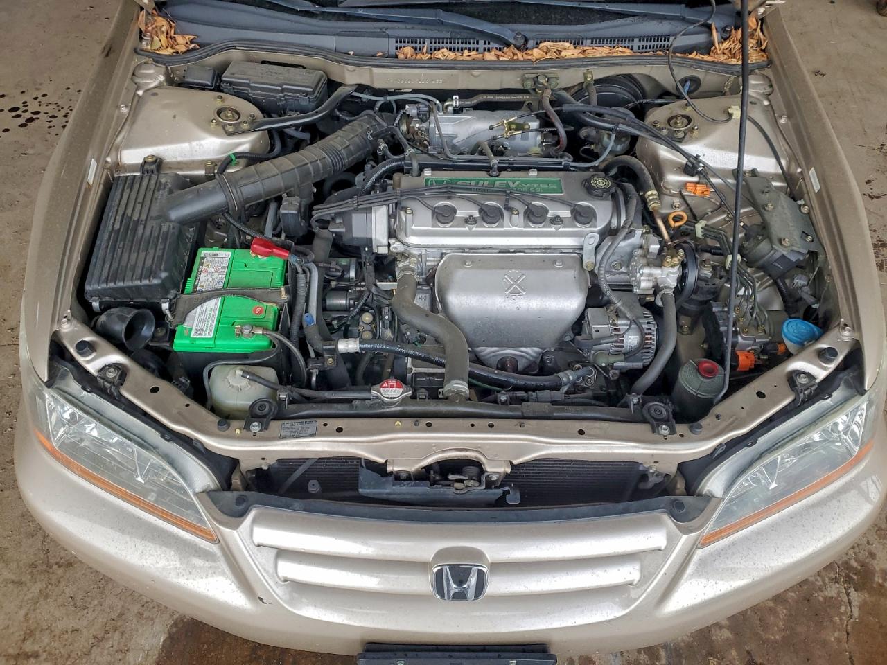 2002 HONDA ACCORD EX photo 11