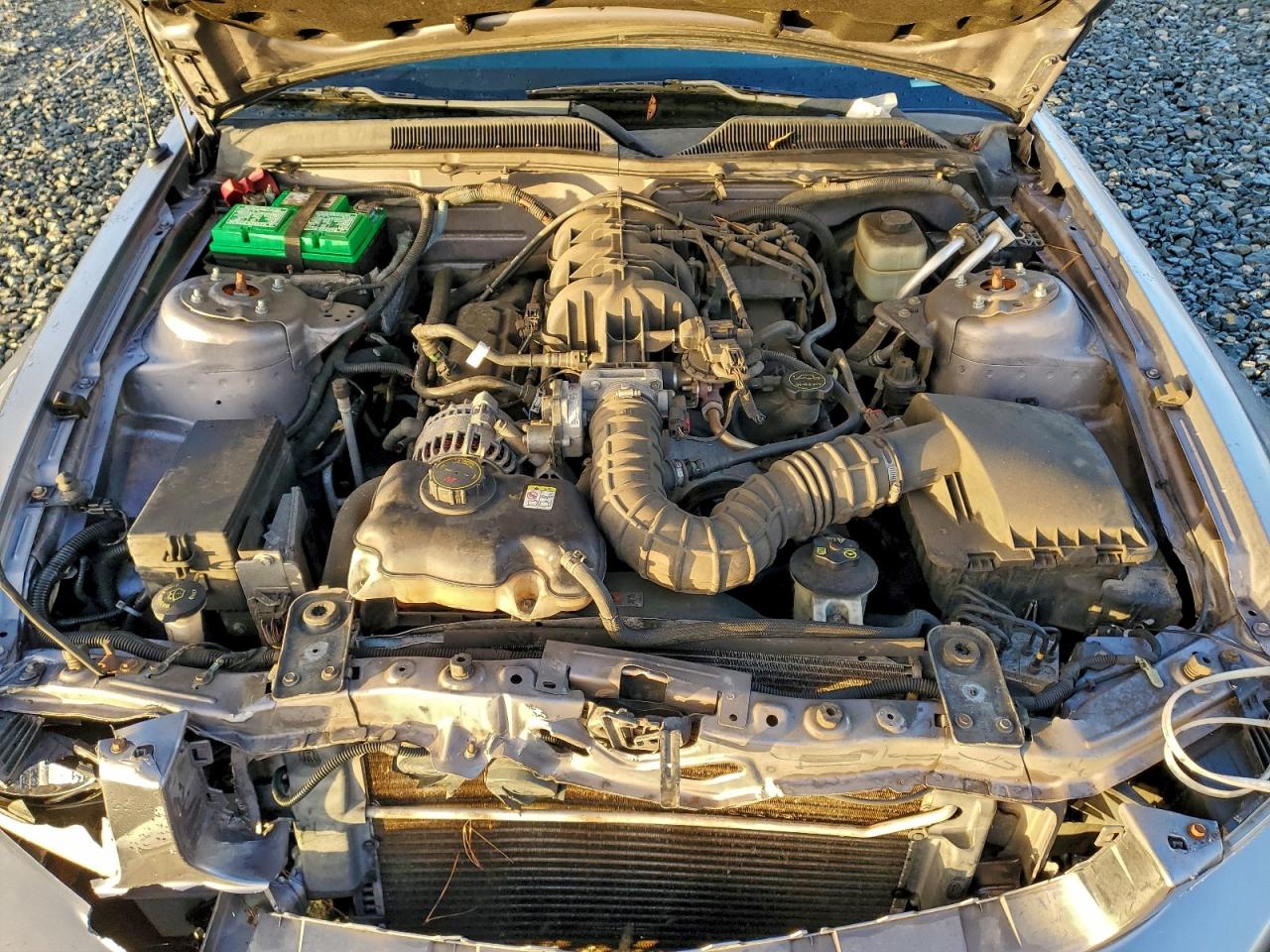 2006 FORD MUSTANG photo 11