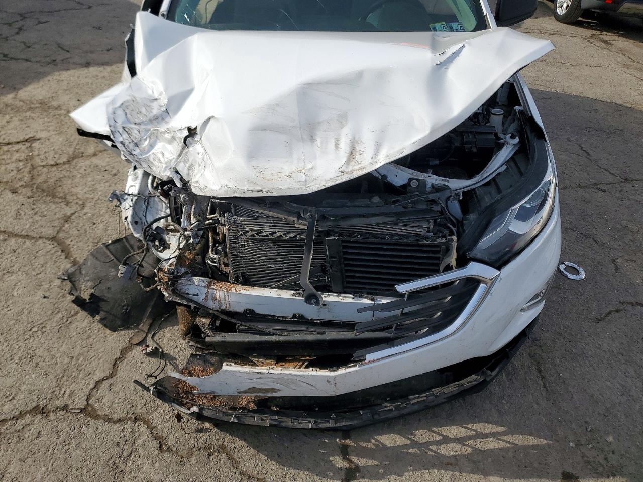 2019 CHEVROLET EQUINOX LS photo 11