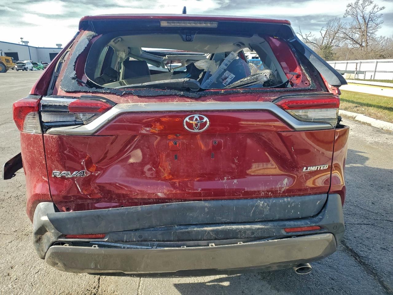 2019 TOYOTA RAV4 LIMITED photo 6