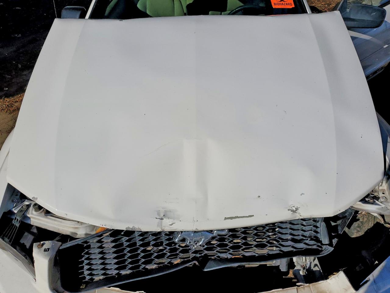 2007 FORD MUSTANG photo 11
