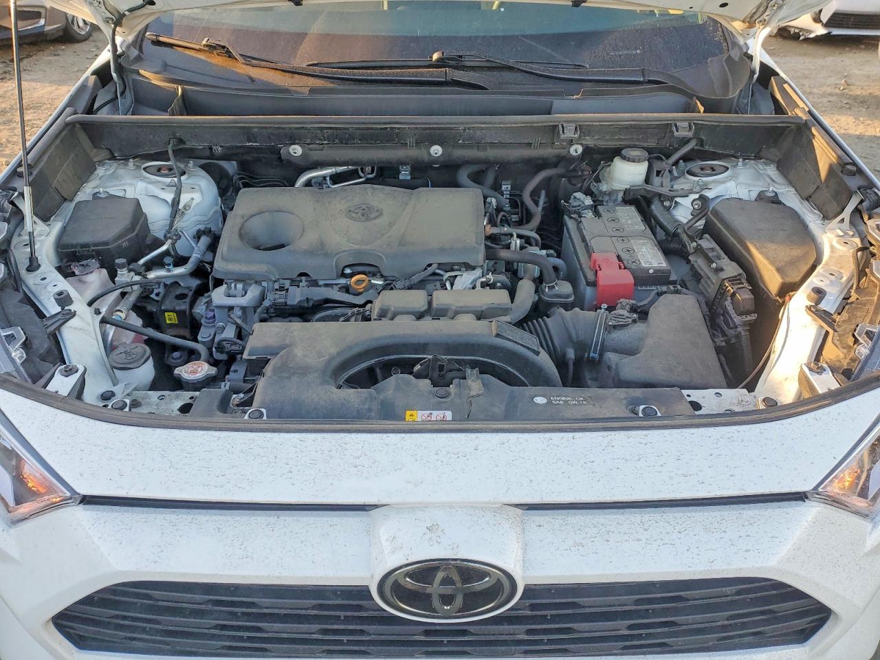 2021 TOYOTA RAV4 XLE photo 12