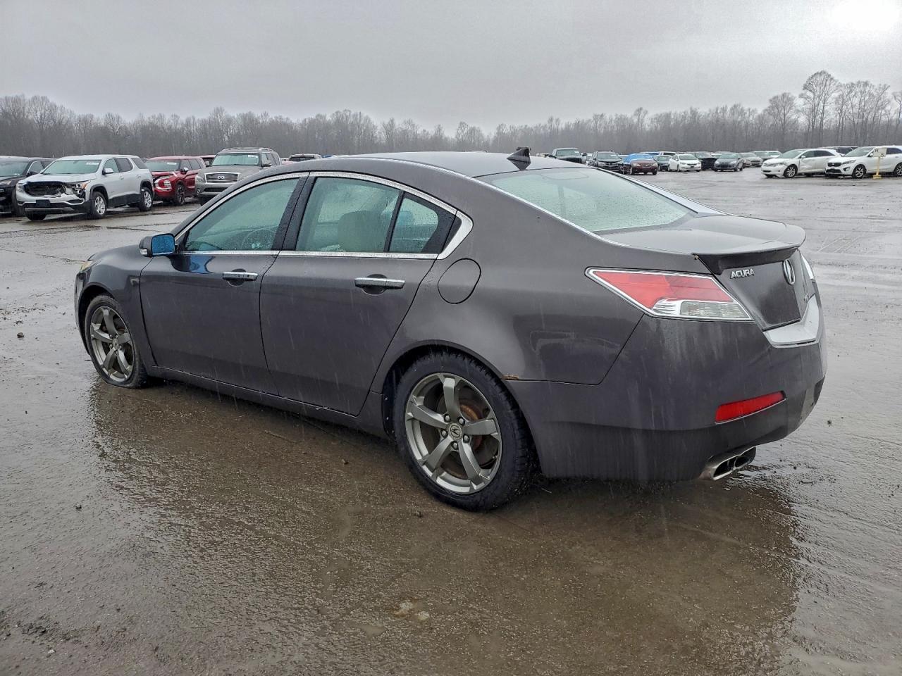 2010 ACURA TL photo 2