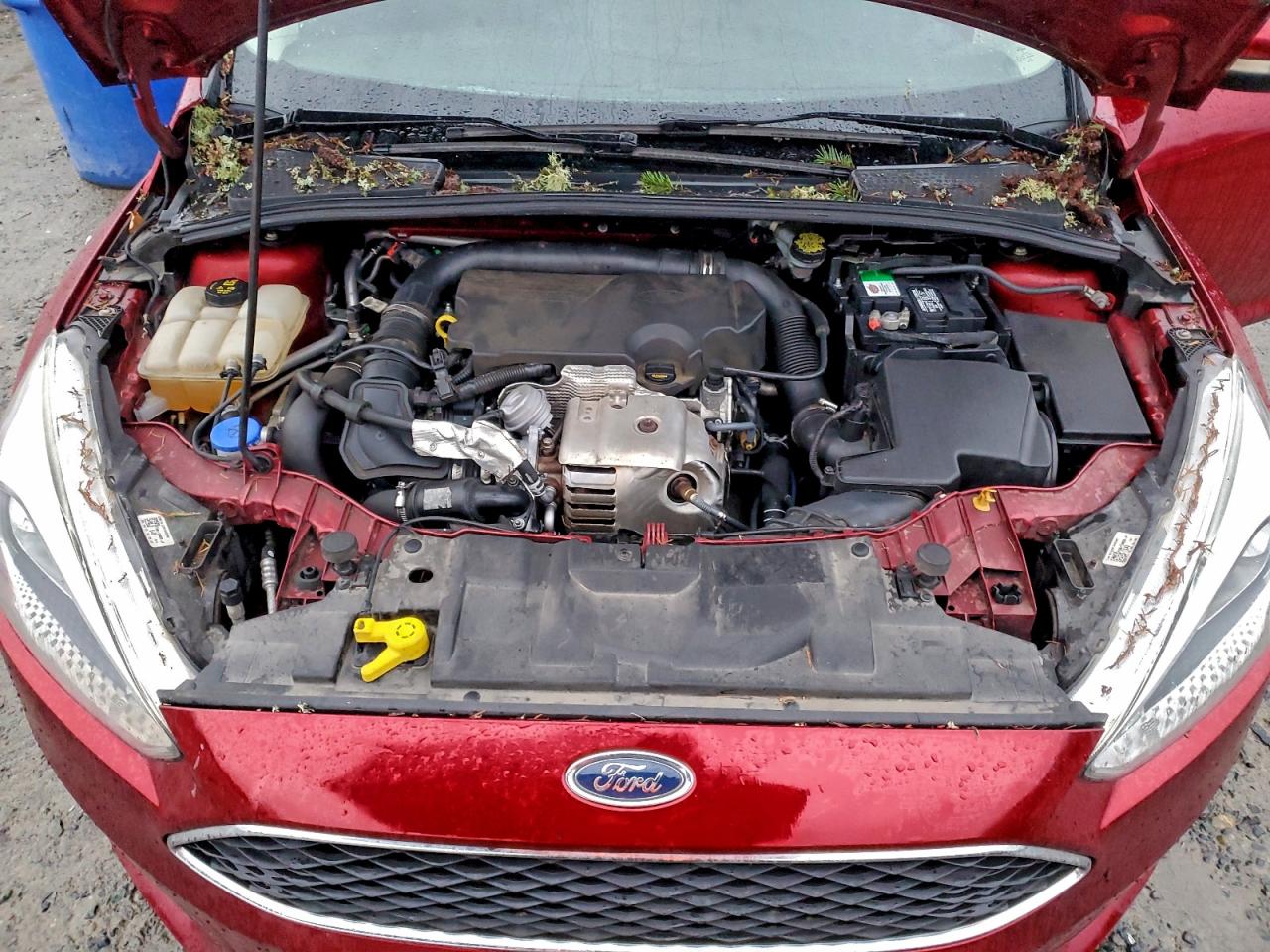 2015 FORD FOCUS SE photo 12