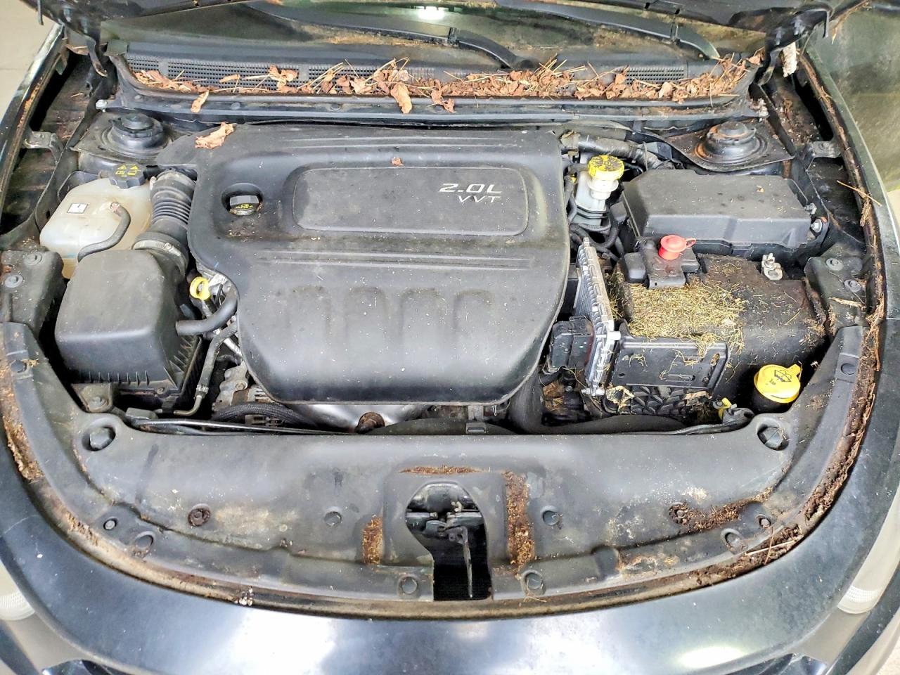 2013 DODGE DART SXT photo 11