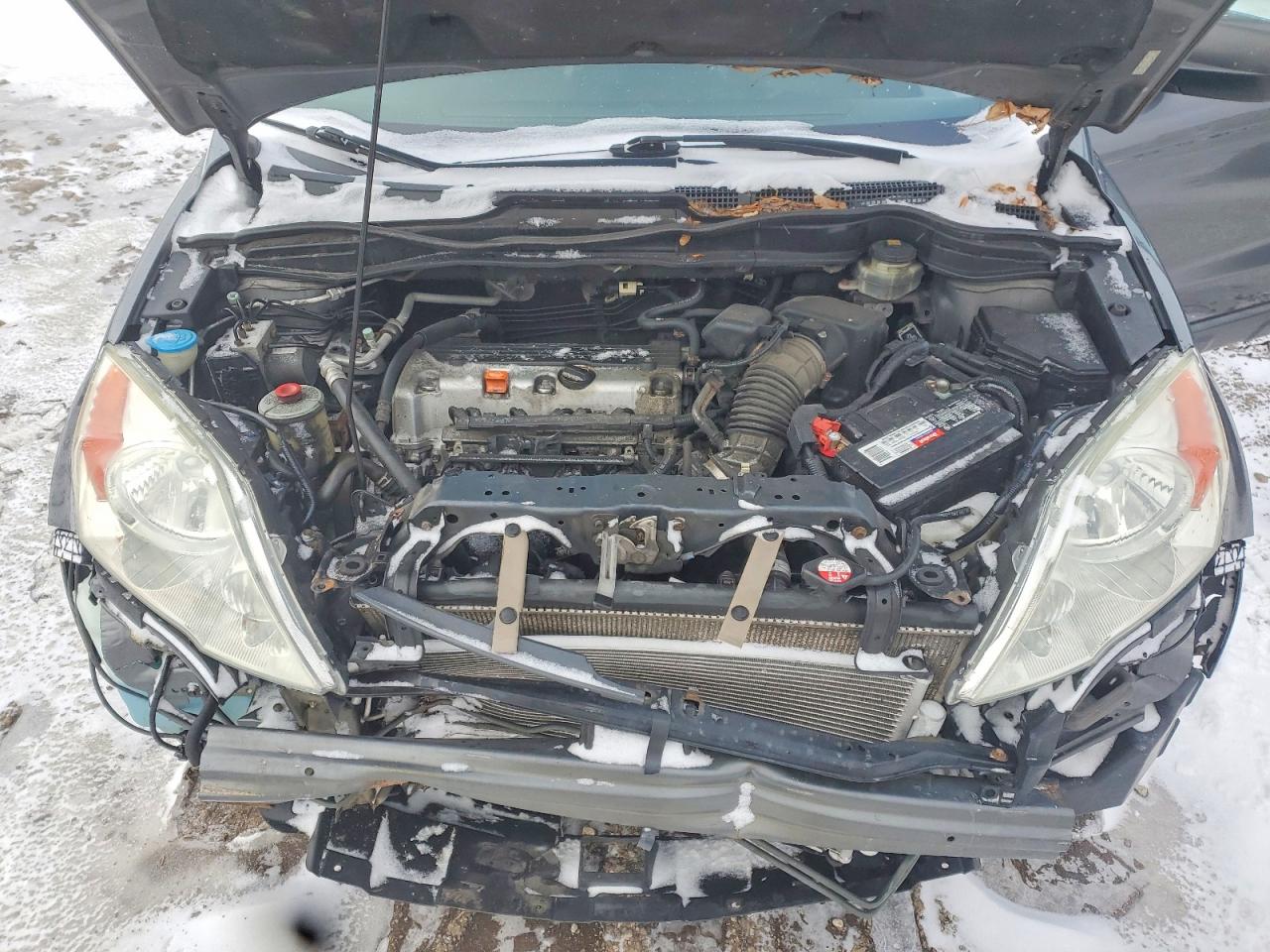 2010 HONDA CR-V LX photo 11