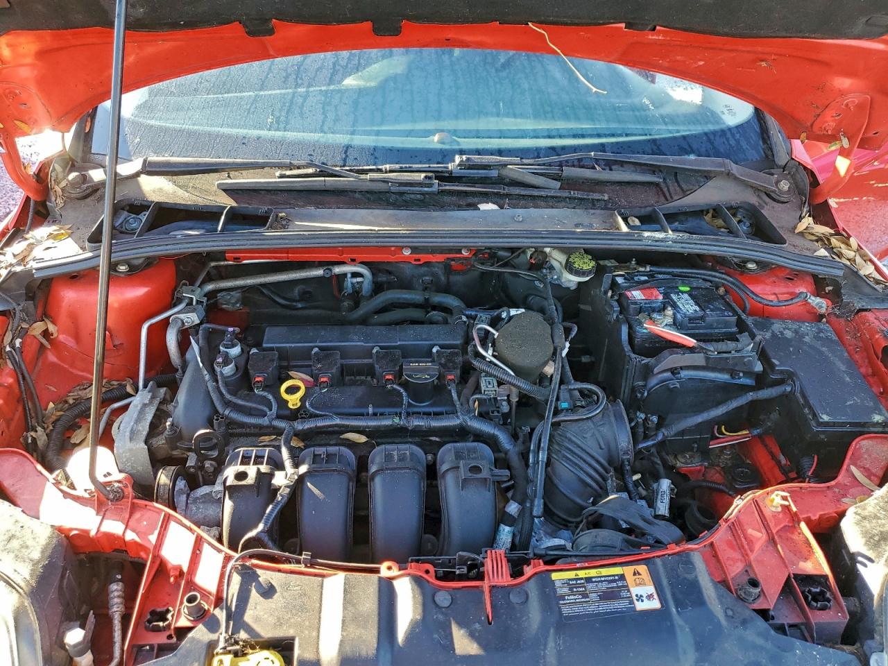 2013 FORD FOCUS SE photo 12