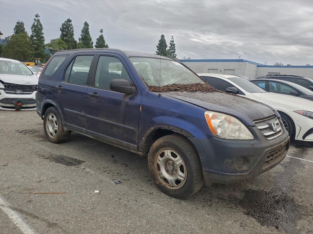 2005 HONDA CR-V LX photo 4