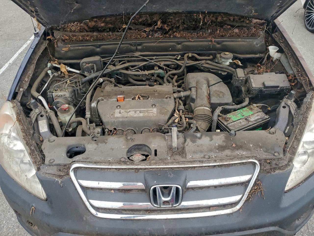 2005 HONDA CR-V LX photo 11
