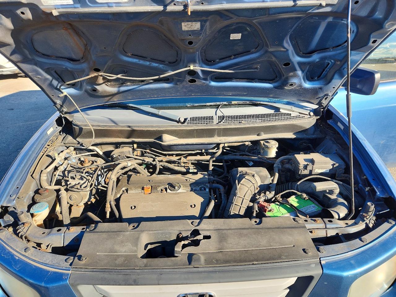 2007 HONDA ELEMENT EX photo 12