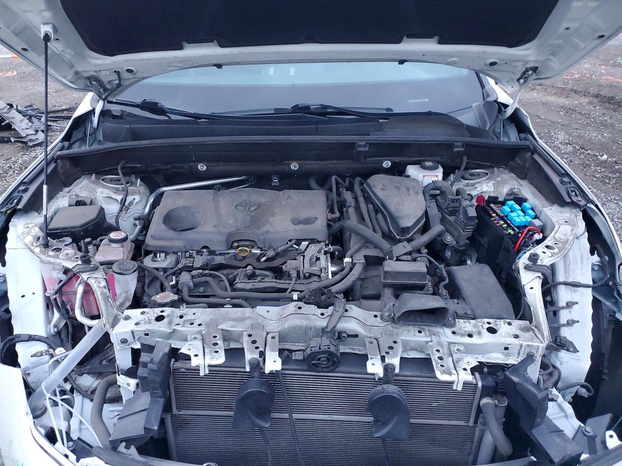 2021 TOYOTA VENZA LE photo 12