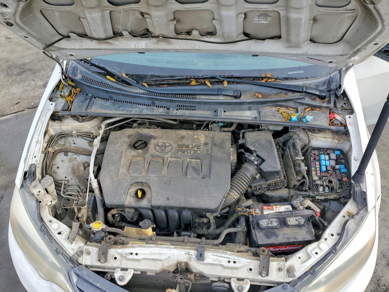 2015 TOYOTA COROLLA ECO photo 11