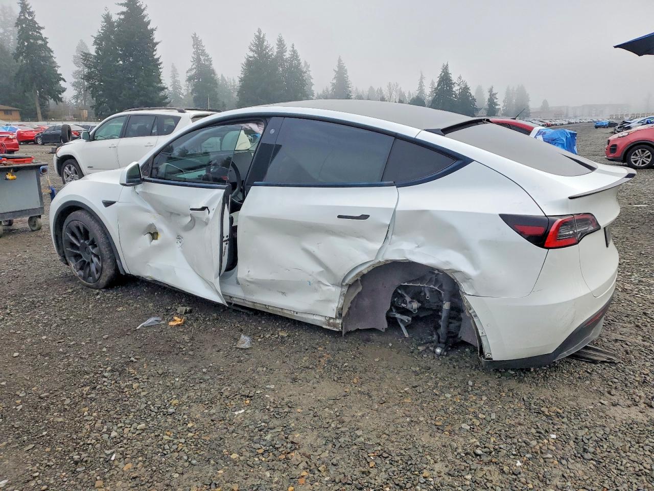 2021 TESLA MODEL Y photo 2