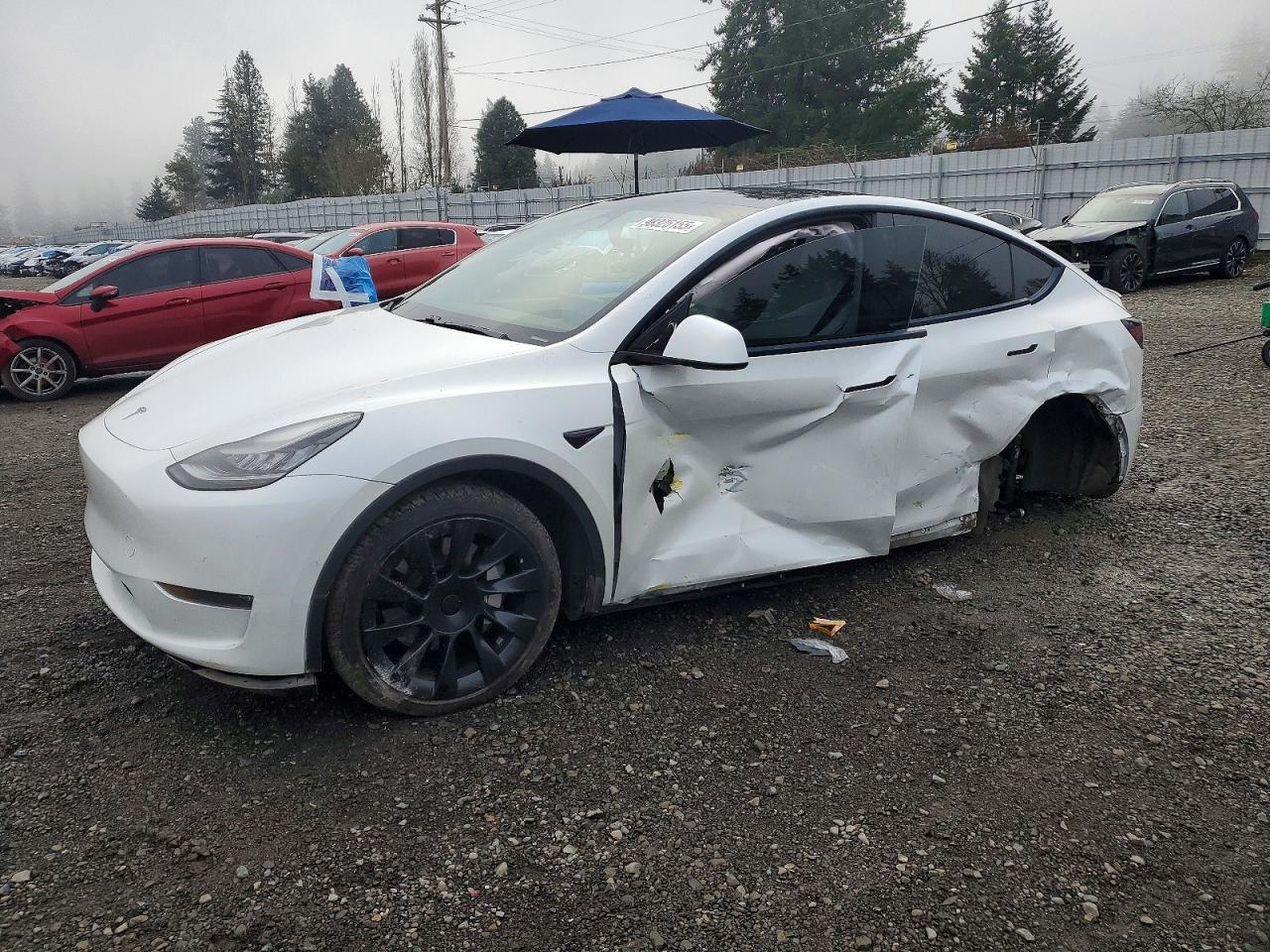 2021 TESLA MODEL Y