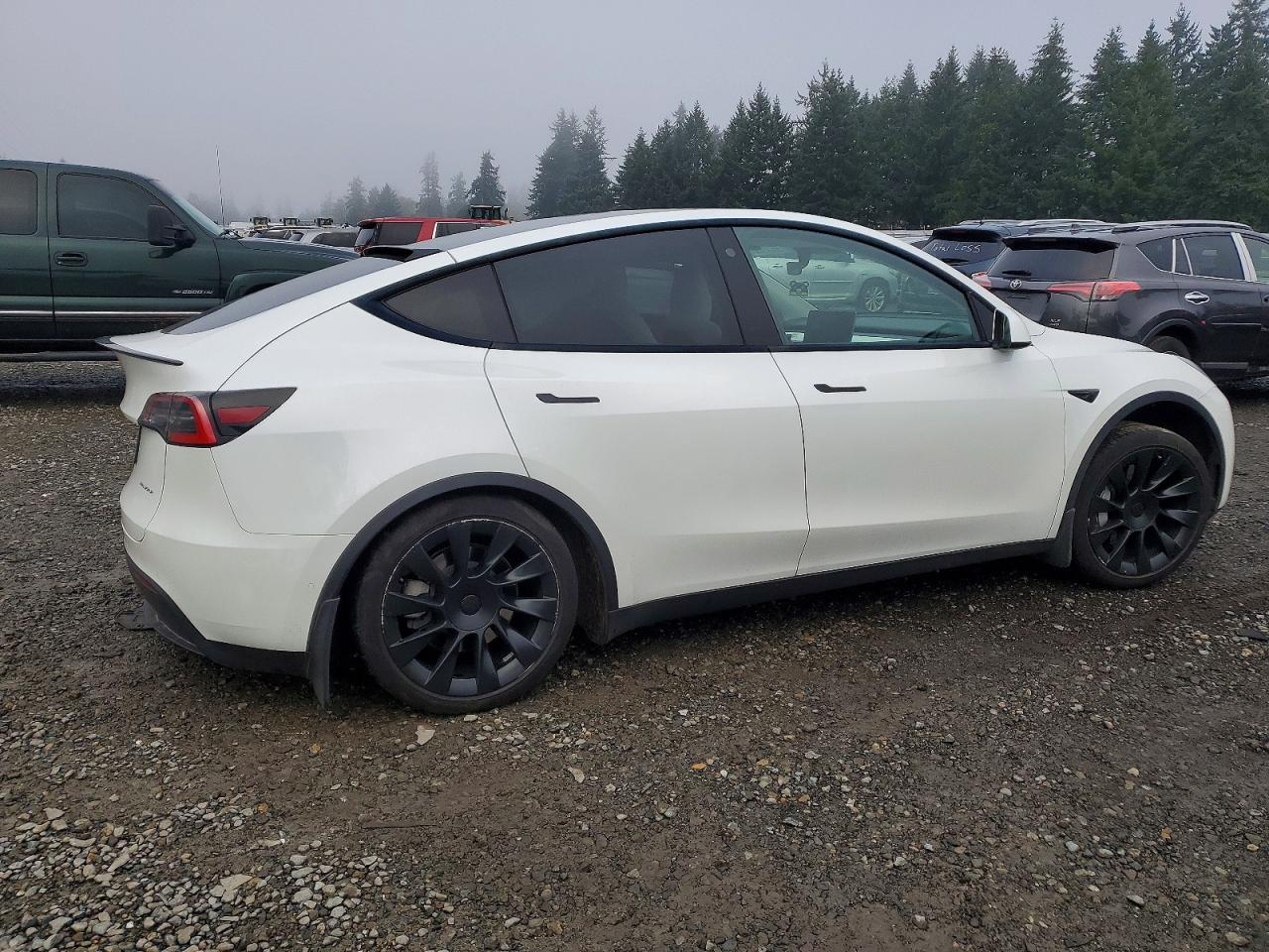 2021 TESLA MODEL Y photo 3