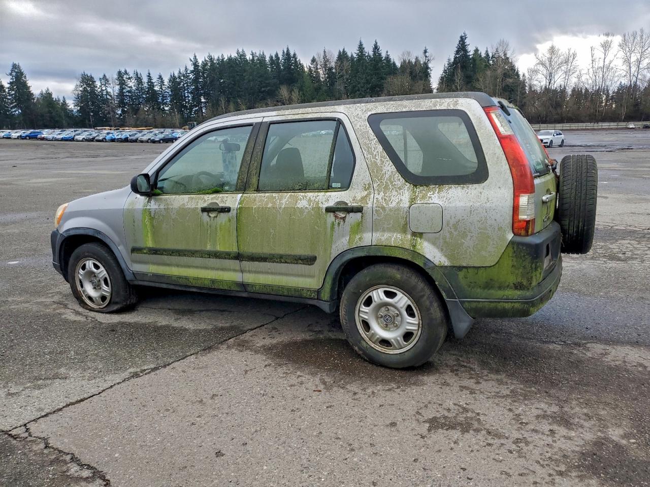 2005 HONDA CR-V LX photo 2
