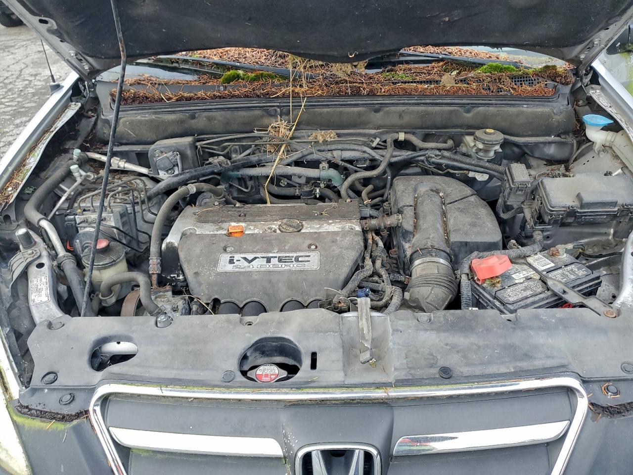 2005 HONDA CR-V LX photo 12