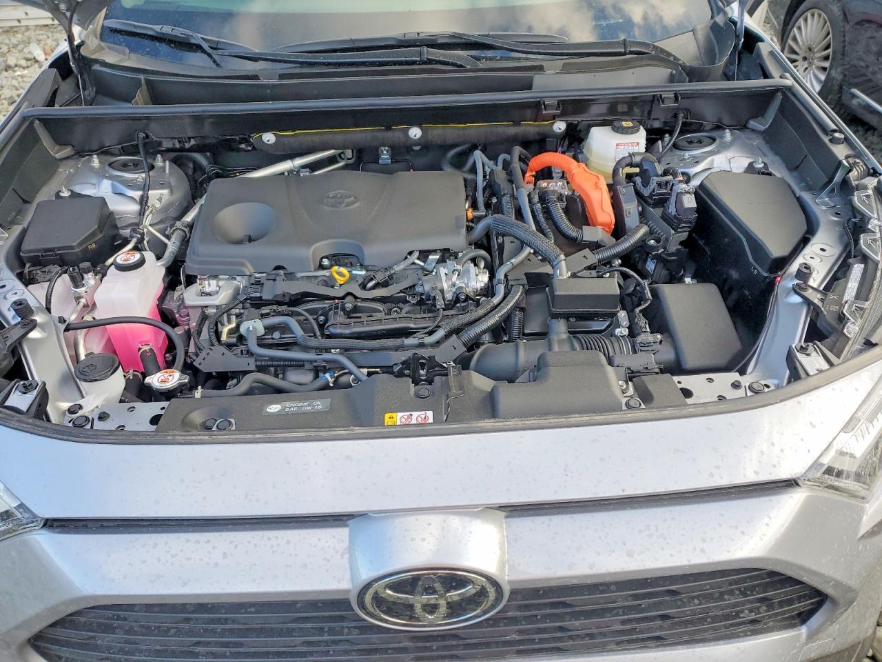 2025 TOYOTA RAV4 LE photo 12