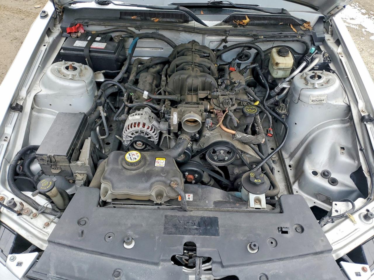 2007 FORD MUSTANG photo 11