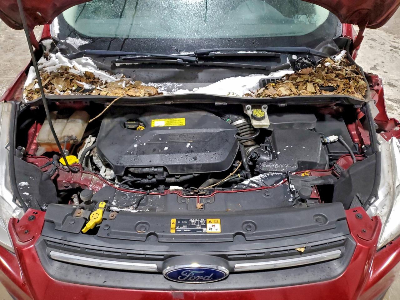 2015 FORD ESCAPE SE photo 12