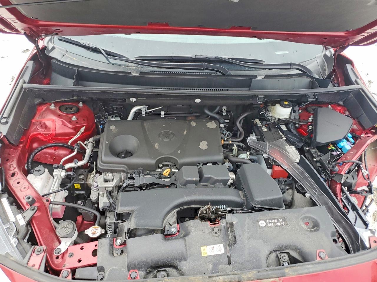 2024 TOYOTA RAV4 LE photo 12