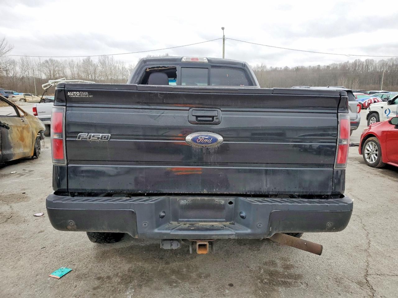 2014 FORD F150 SUPERCREW photo 11