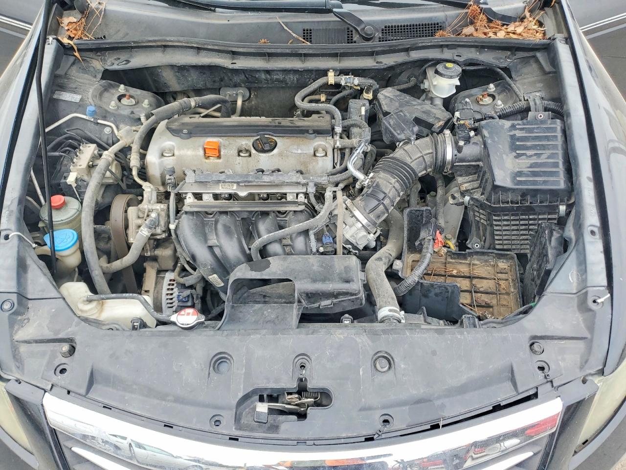 2011 HONDA ACCORD SE photo 11