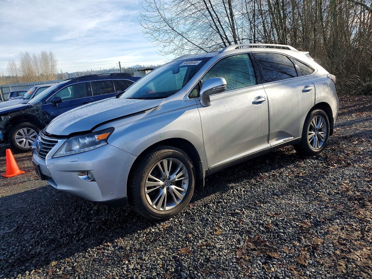 2013 LEXUS RX