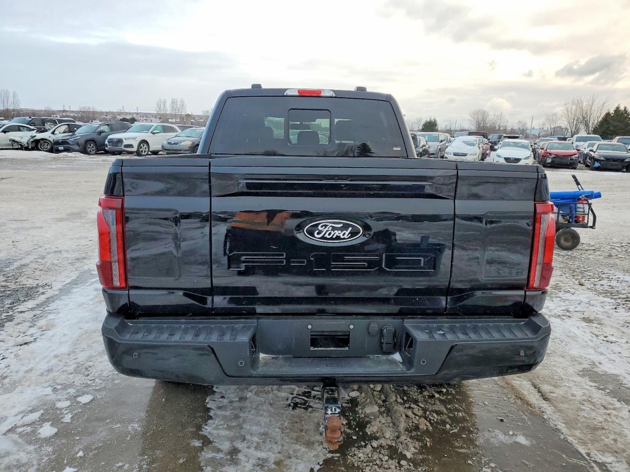 2025 FORD F150 LARIAT photo 6