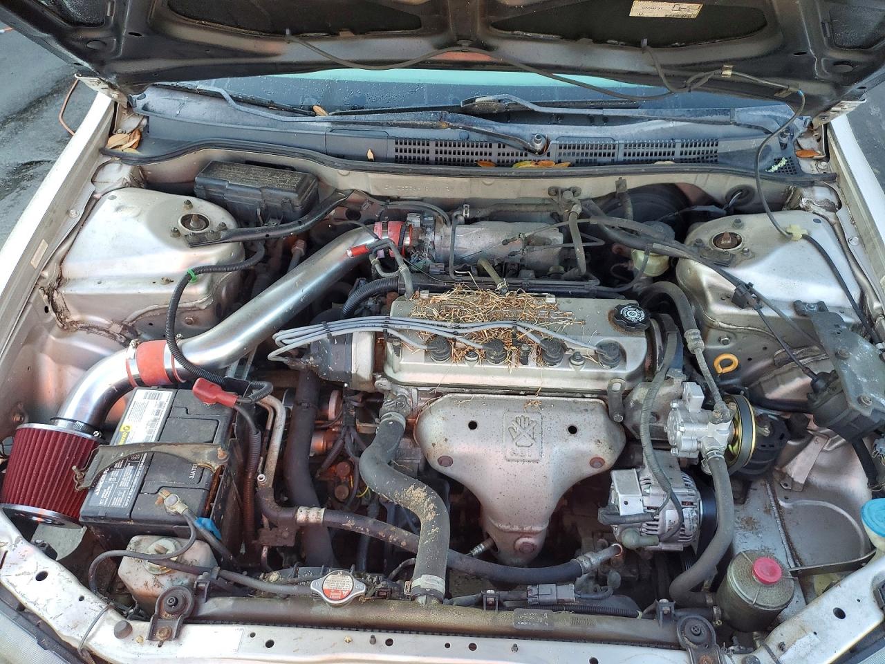 1999 HONDA ACCORD LX photo 11