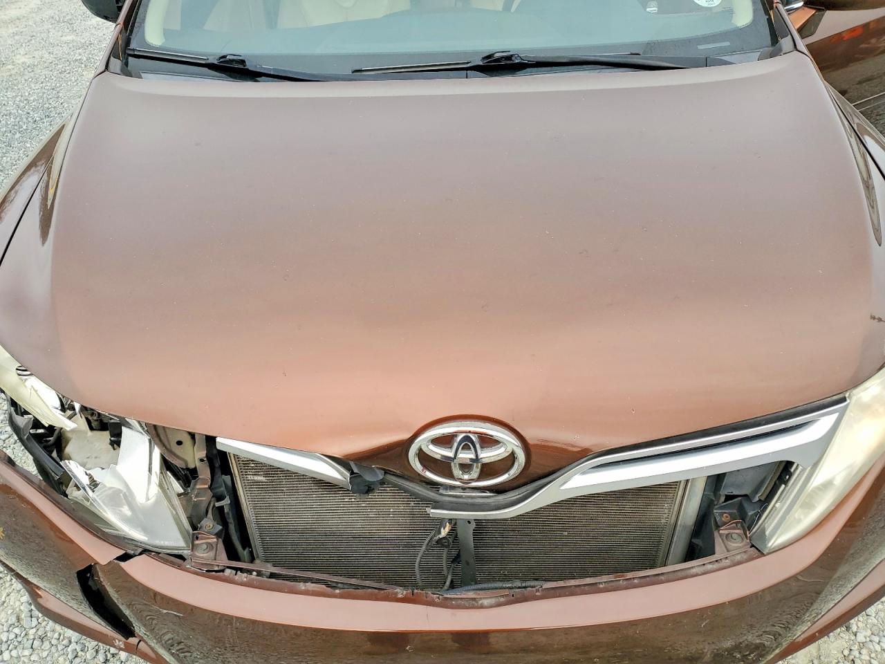 2009 TOYOTA VENZA photo 12