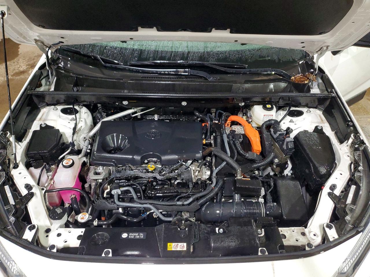 2024 TOYOTA RAV4 LE photo 12