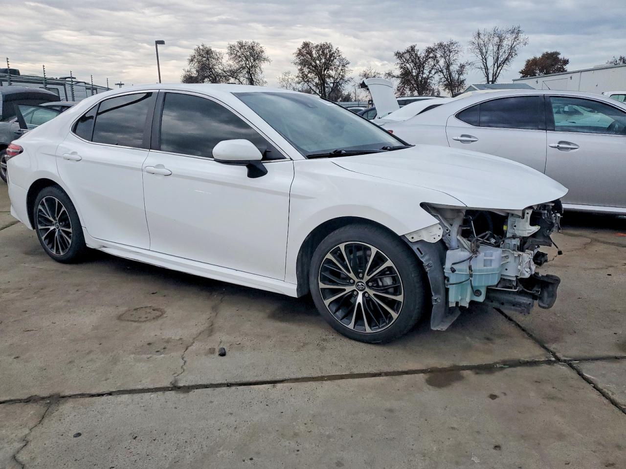 2019 TOYOTA CAMRY L photo 4