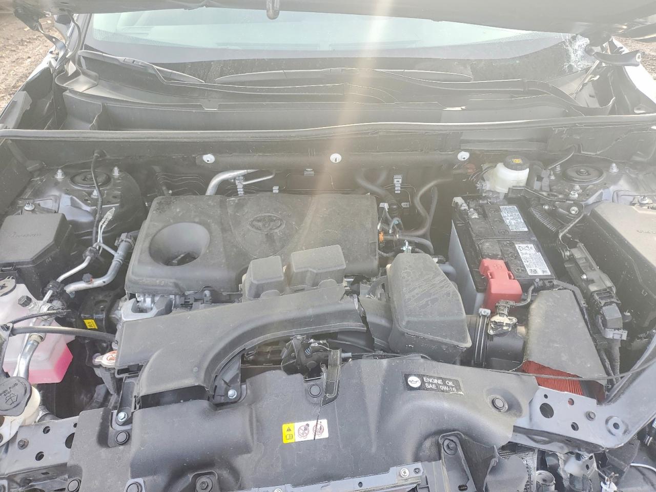 2025 TOYOTA RAV4 XLE photo 11