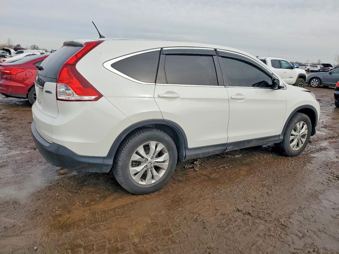 2014 HONDA CR-V EX photo 3