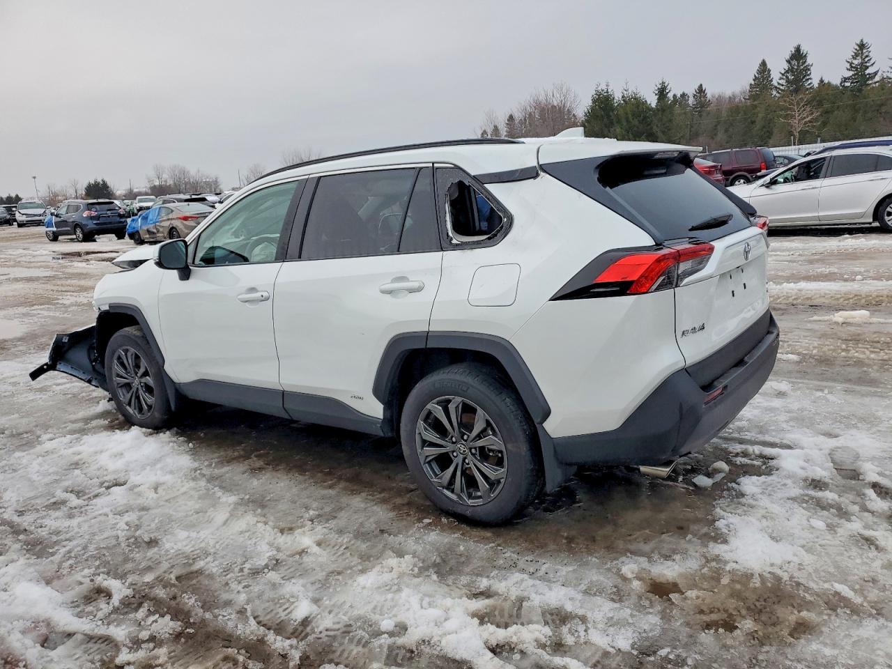 2025 TOYOTA RAV4 XLE photo 2