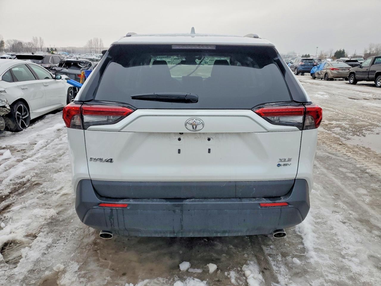 2025 TOYOTA RAV4 XLE photo 6