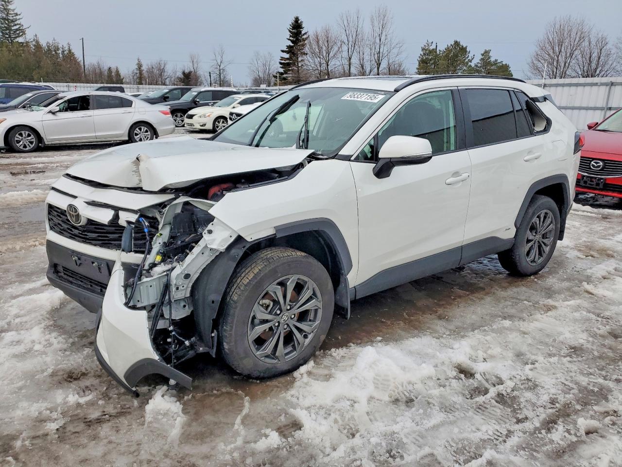 2025 TOYOTA RAV4