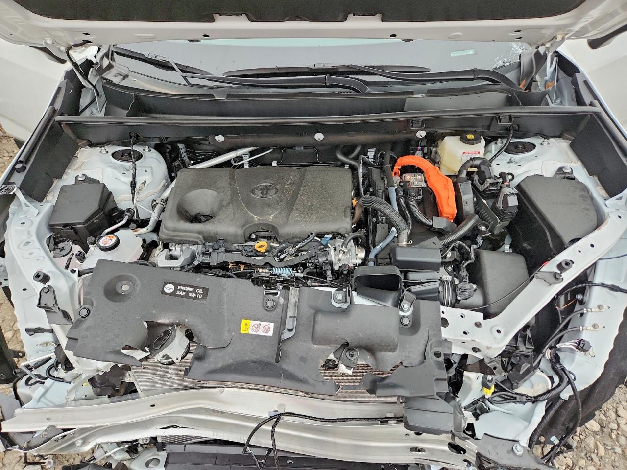 2025 TOYOTA RAV4 XLE PREMIUM photo 12