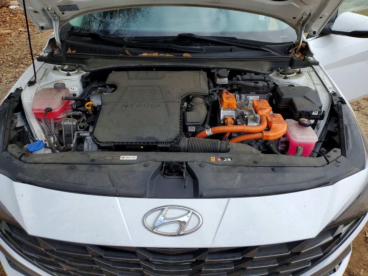 2023 HYUNDAI ELANTRA photo 11
