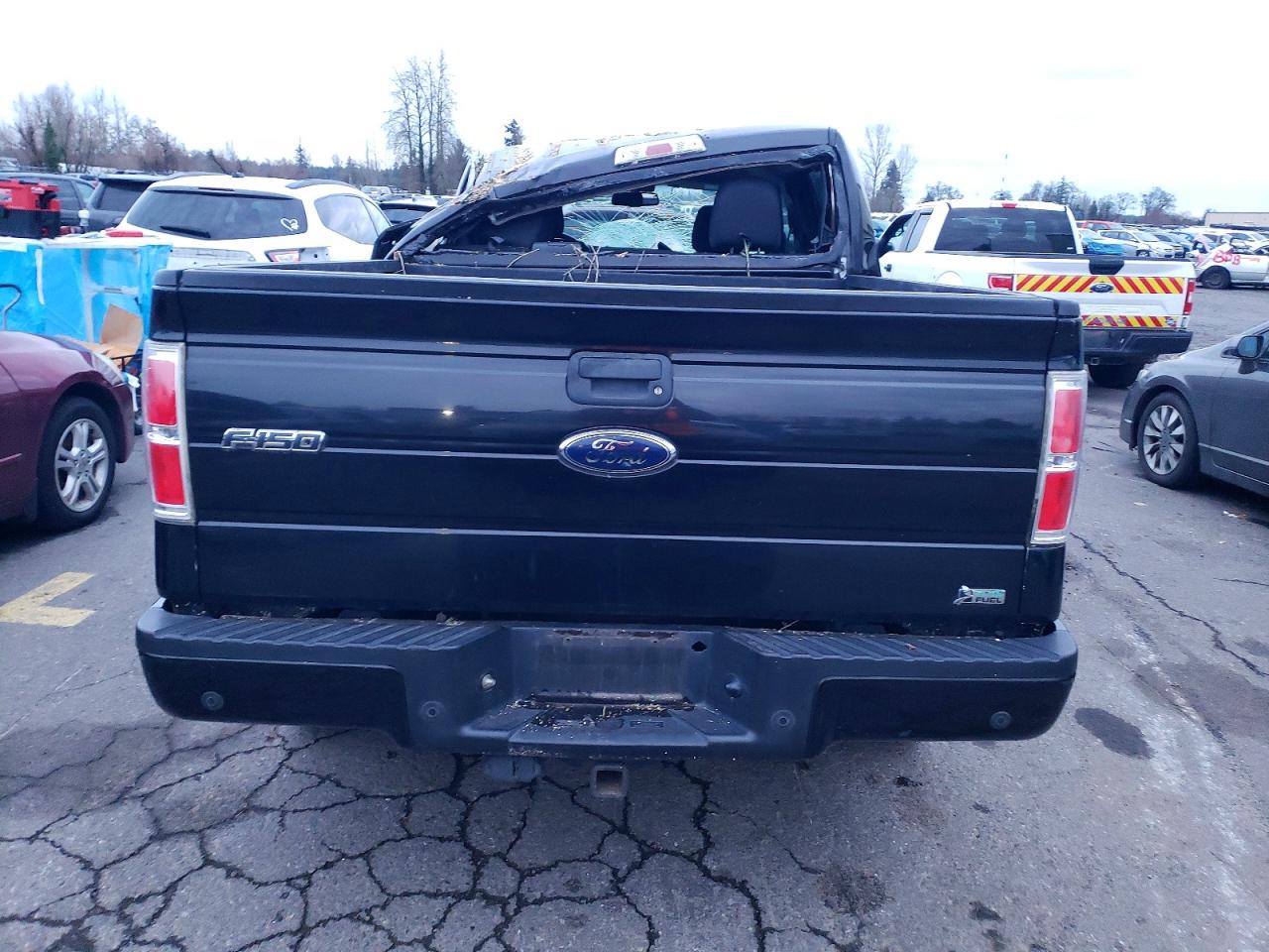 2010 FORD F150 SUPERCREW photo 6